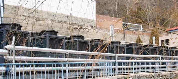 �՚�Դ��ˮ�������P(gu��n)֪�R(sh��)����Щ��